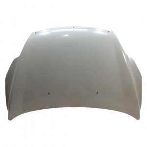 Капот AS08158713