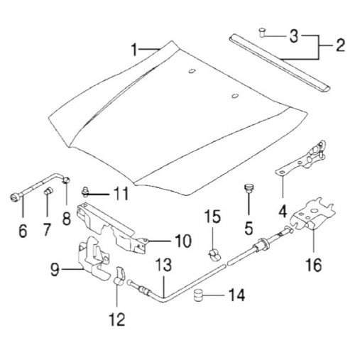 Капот AS08158728