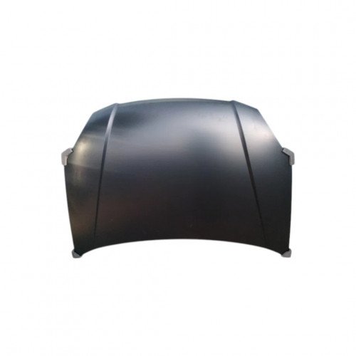 Капот AS08158838