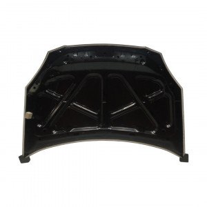 Капот AS08158838