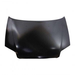 Капот AS00050525