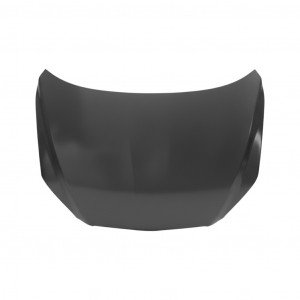 Капот AS08158198