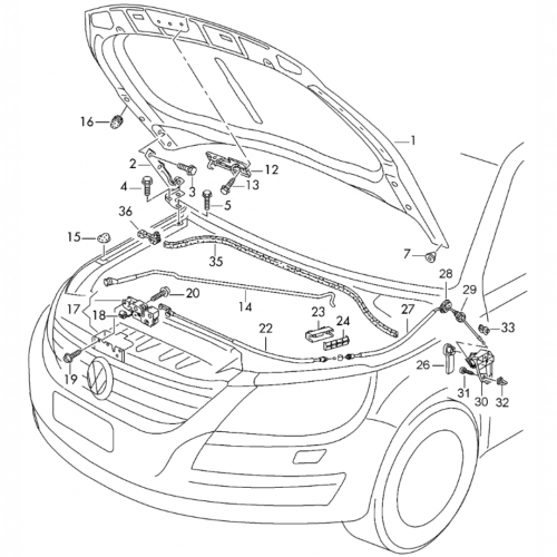 Капот AS08158211