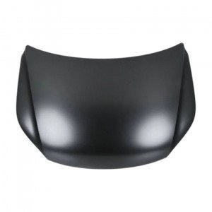 Капот AS08158211