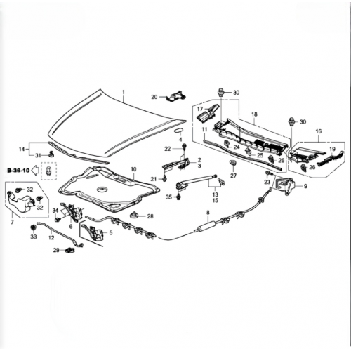 Капот AS08158253