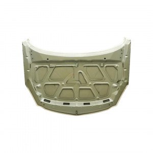 Капот AS08158691