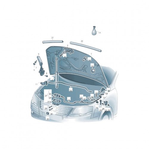 Капот AS08158904