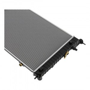 Радіатор охолодження AS08158796