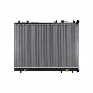 Радиатор охлаждения AS08158895