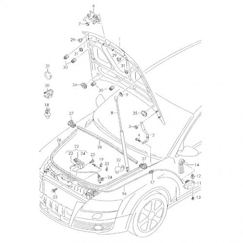 Капот AS08158328