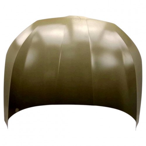 Капот AS08158448